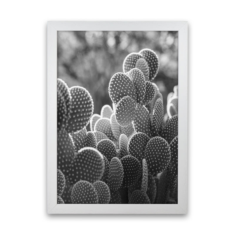 The Cacti Cactus B&W Art Print by Seven Trees Design White Grain