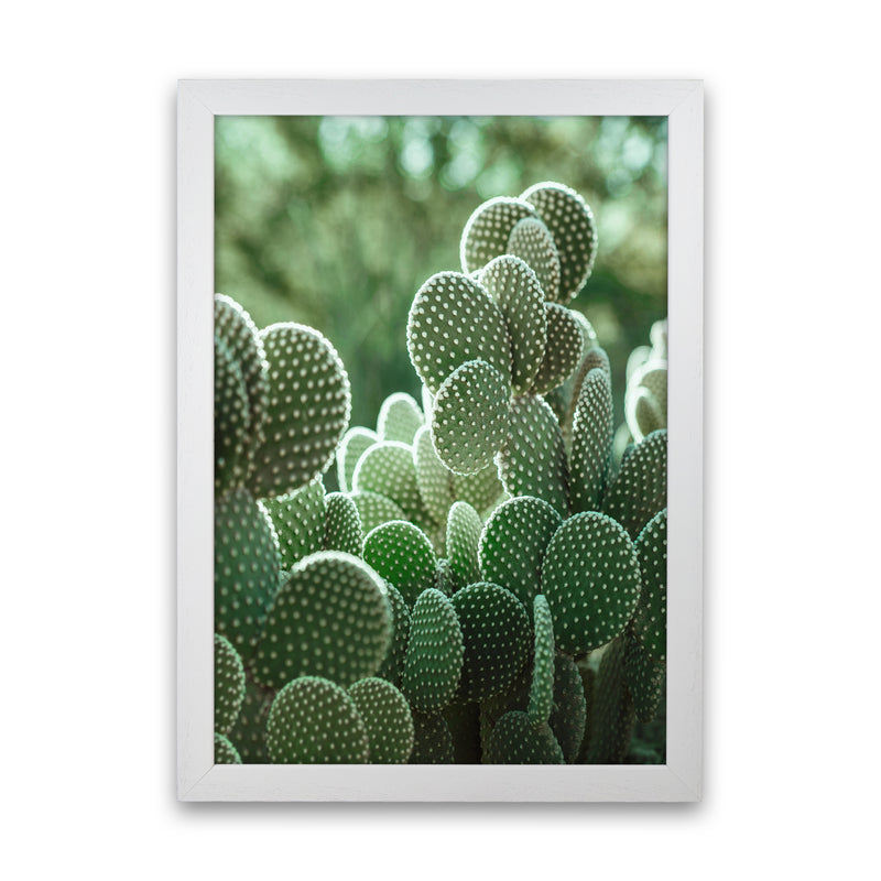 The Cacti Cactus Photography Art Print by Seven Trees Design White Grain