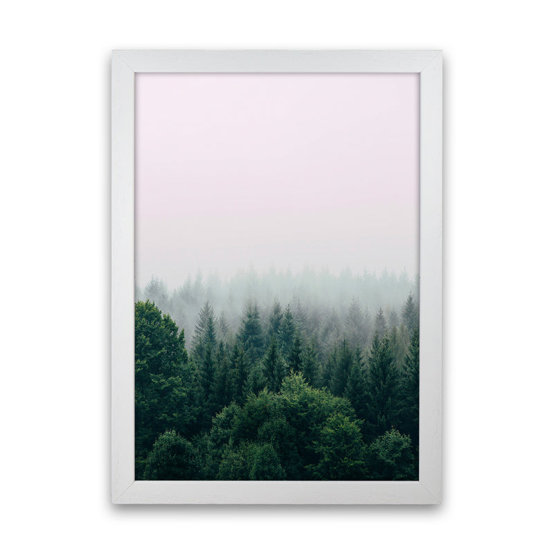 The Fog And The Forest I Photography Art Print by Seven Trees Design White Grain