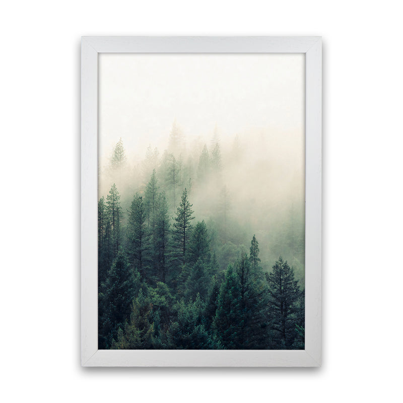 The Fog And The Forest II Photography Art Print by Seven Trees Design White Grain