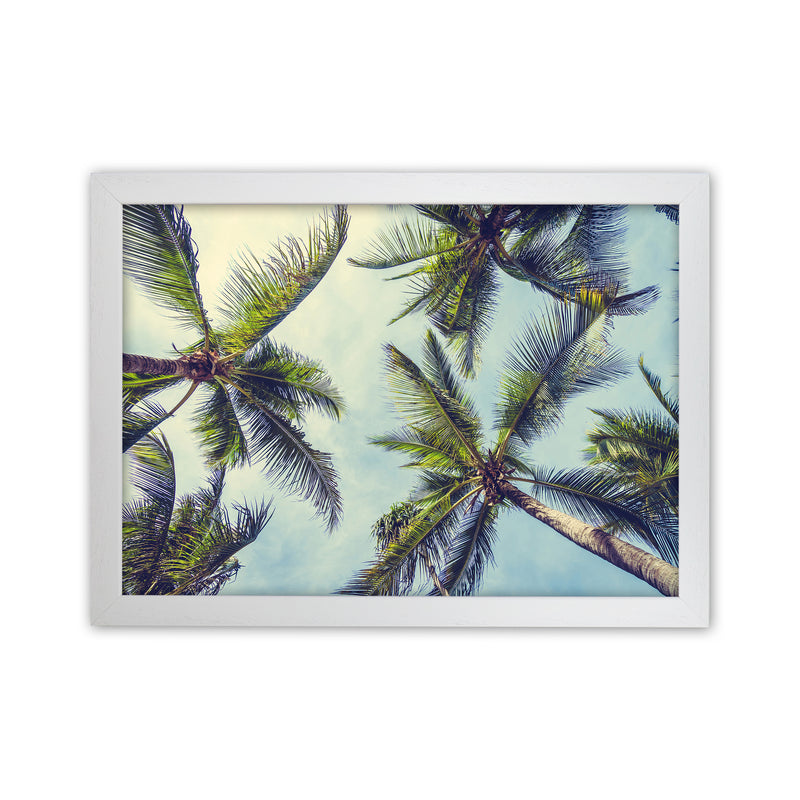 The Palms Photography Art Print by Seven Trees Design White Grain