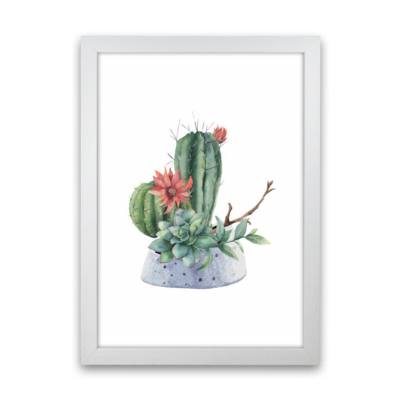The Watercolor Cactus Art Print by Seven Trees Design White Grain