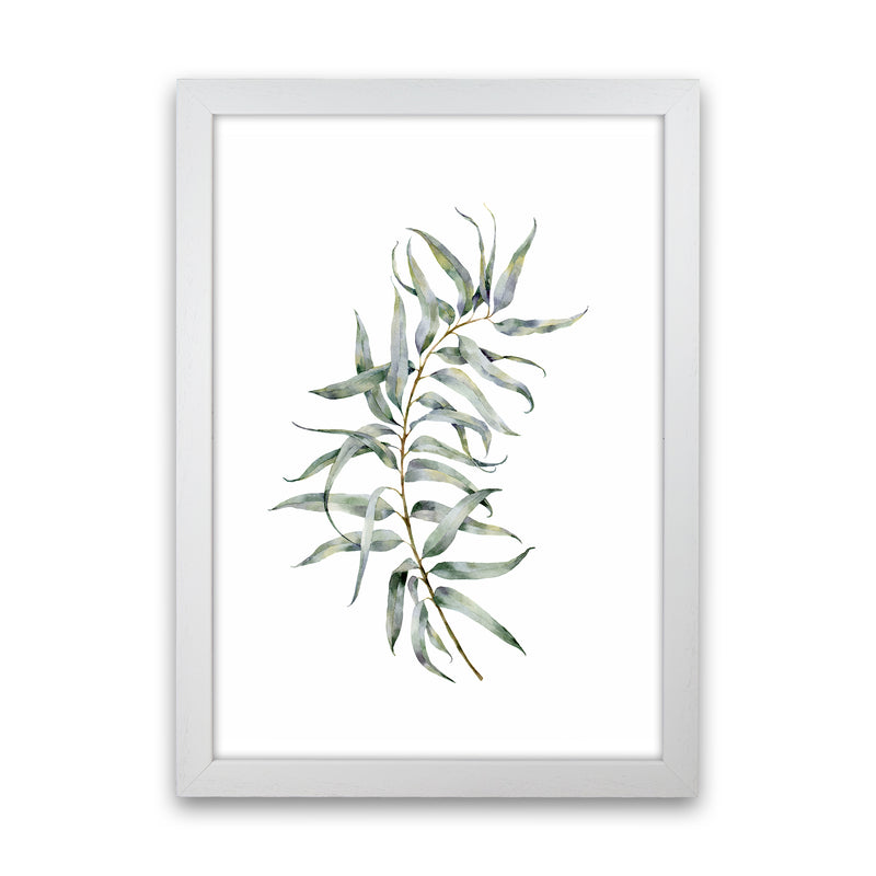 Watercolor Eucalyptus IV Art Print by Seven Trees Design White Grain