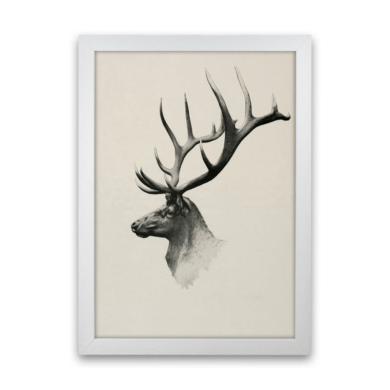 Mountain Reindeer Art Print by Seven Trees Design White Grain