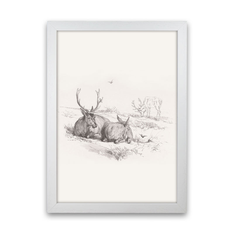 Reindeer Chilling Art Print by Seven Trees Design White Grain