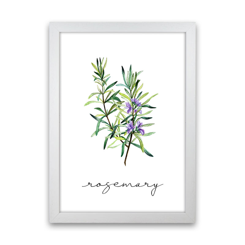 Rosemary Art Print by Seven Trees Design White Grain