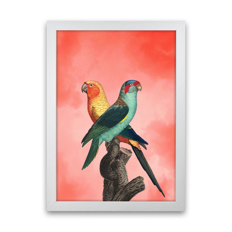 The Birds and the pink sky I Art Print by Seven Trees Design White Grain