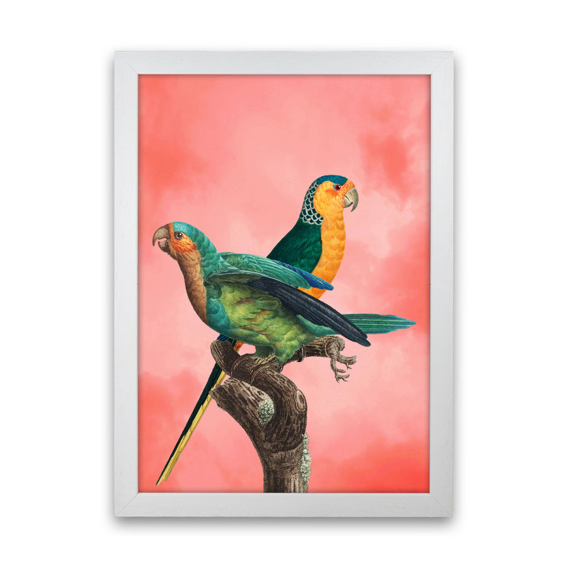 The Birds and the pink sky II Art Print by Seven Trees Design White Grain
