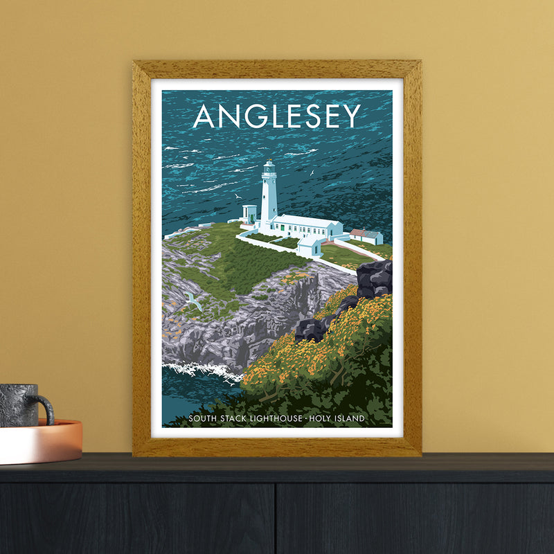 Anglesey Art Print by Stephen Millership A3 Print Only