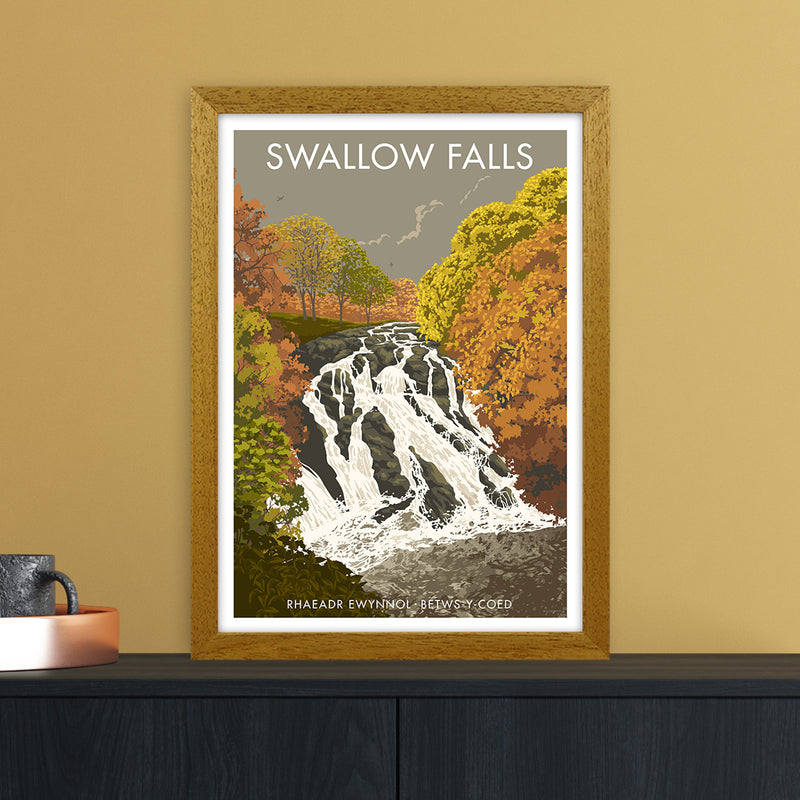 Wales Swallow Falls Art Print by Stephen Millership A3 Print Only