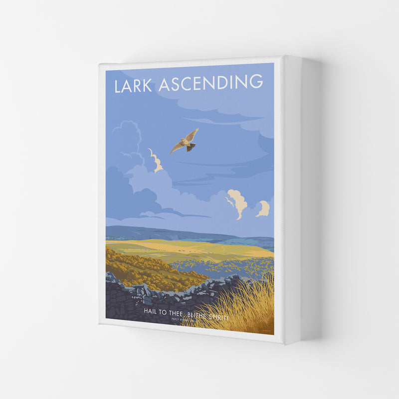 Lark Art Print by Stephen Millership Canvas