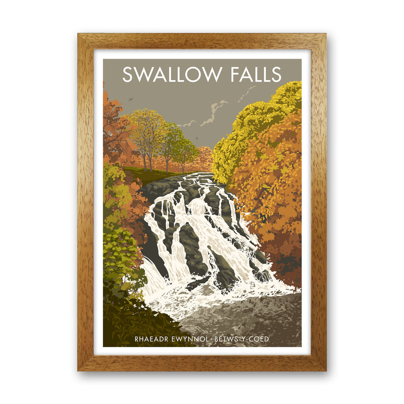 Wales Swallow Falls Art Print by Stephen Millership Oak Grain