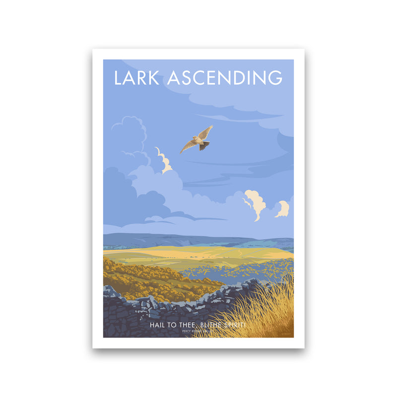 Lark Art Print by Stephen Millership Print Only