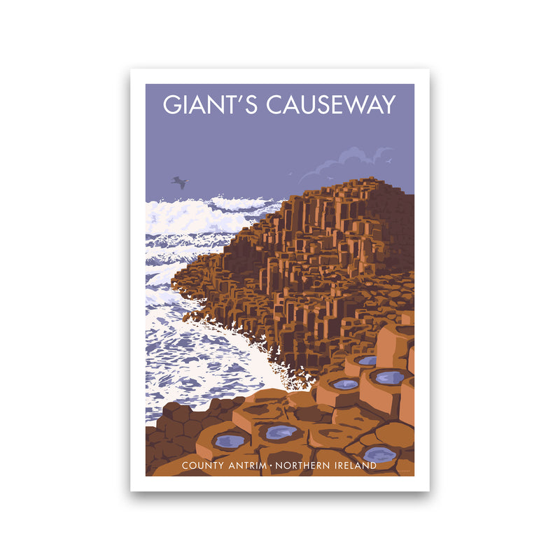 NI Giant'S Causeway Art Print by Stephen Millership Print Only