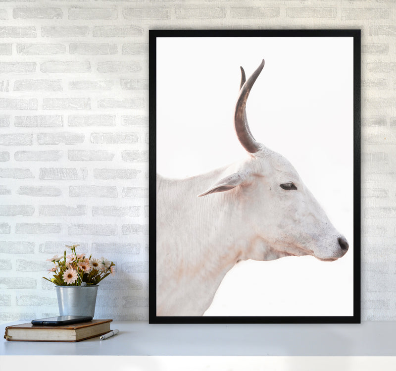 White Cow II Photography Print by Victoria Frost A1 White Frame