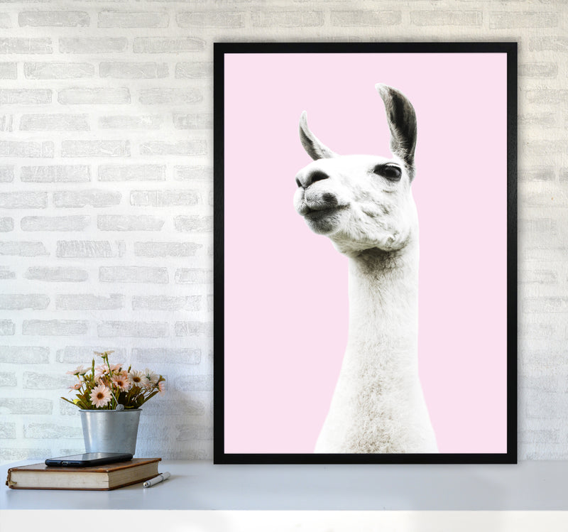 Pink Llama Photography Print by Victoria Frost A1 White Frame