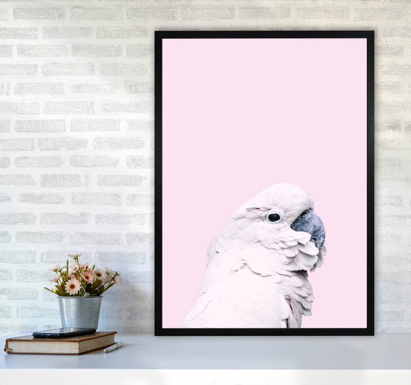 Pink Cockatoo Photography Print by Victoria Frost A1 White Frame