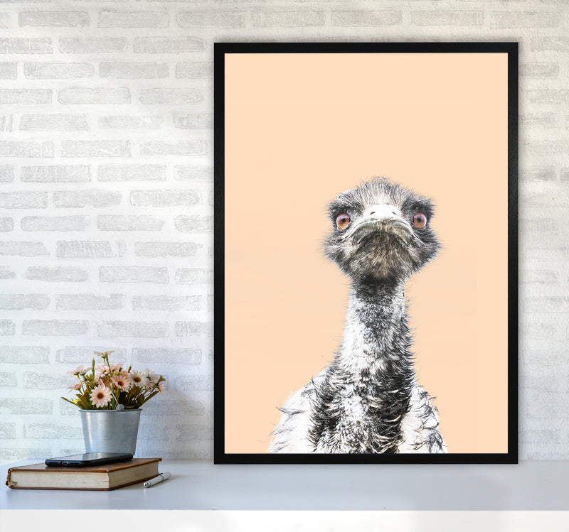 Orange Emu Photography Print by Victoria Frost A1 White Frame