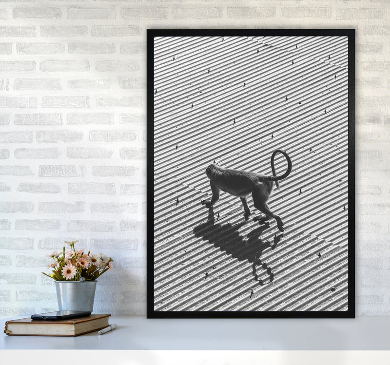 Monkey Buisness Photography Print by Victoria Frost A1 White Frame