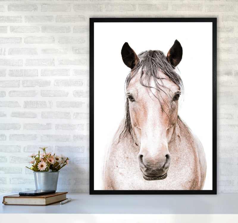 Horse Photography Print by Victoria Frost A1 White Frame