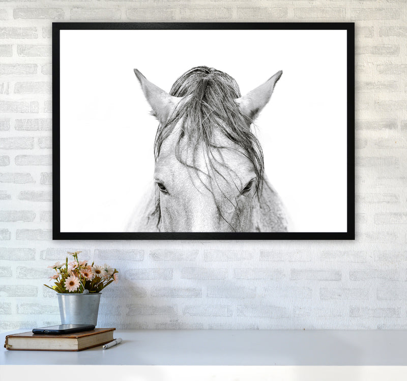 Horse II Photography Print by Victoria Frost A1 White Frame