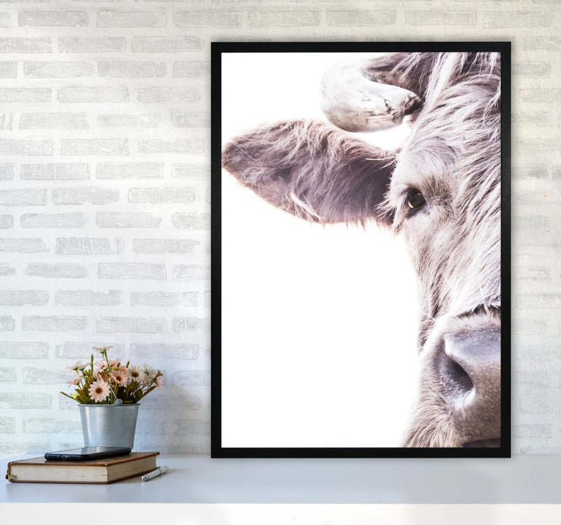 Highlander II Photography Print by Victoria Frost A1 White Frame
