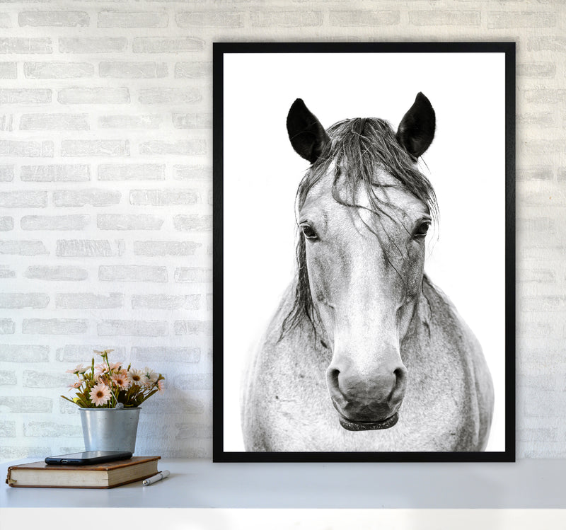 Horse I Photography Print by Victoria Frost A1 White Frame