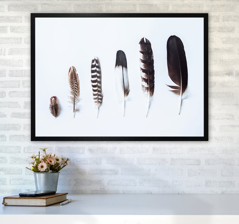 Feathers II Photography Print by Victoria Frost A1 White Frame