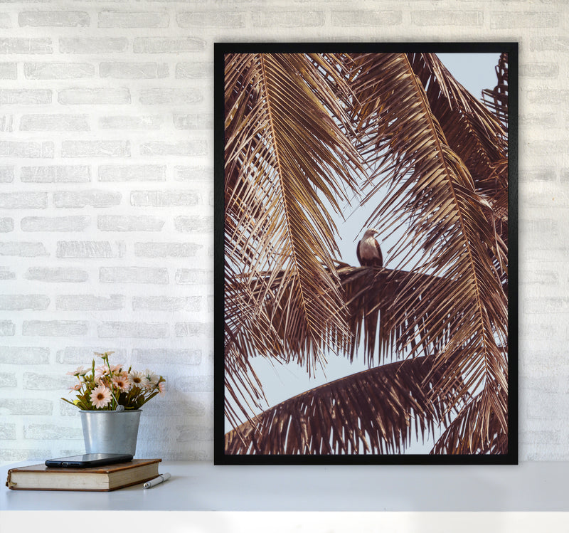 Eagle Photography Print by Victoria Frost A1 White Frame