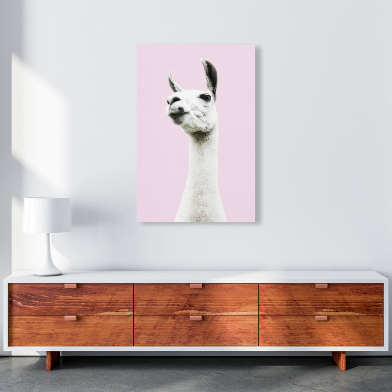 Pink Llama Photography Print by Victoria Frost A1 Canvas