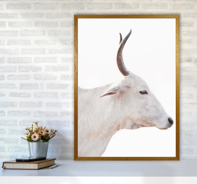 White Cow II Photography Print by Victoria Frost A1 Print Only