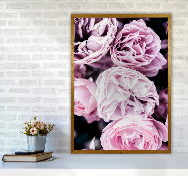 Pink Flowers I Photography Print by Victoria Frost A1 Print Only