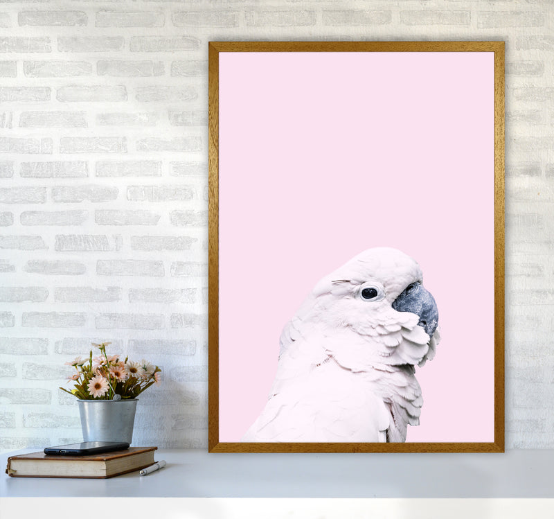 Pink Cockatoo Photography Print by Victoria Frost A1 Print Only