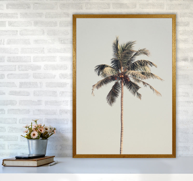 Palm tree by the beach Photography Print by Victoria Frost A1 Print Only