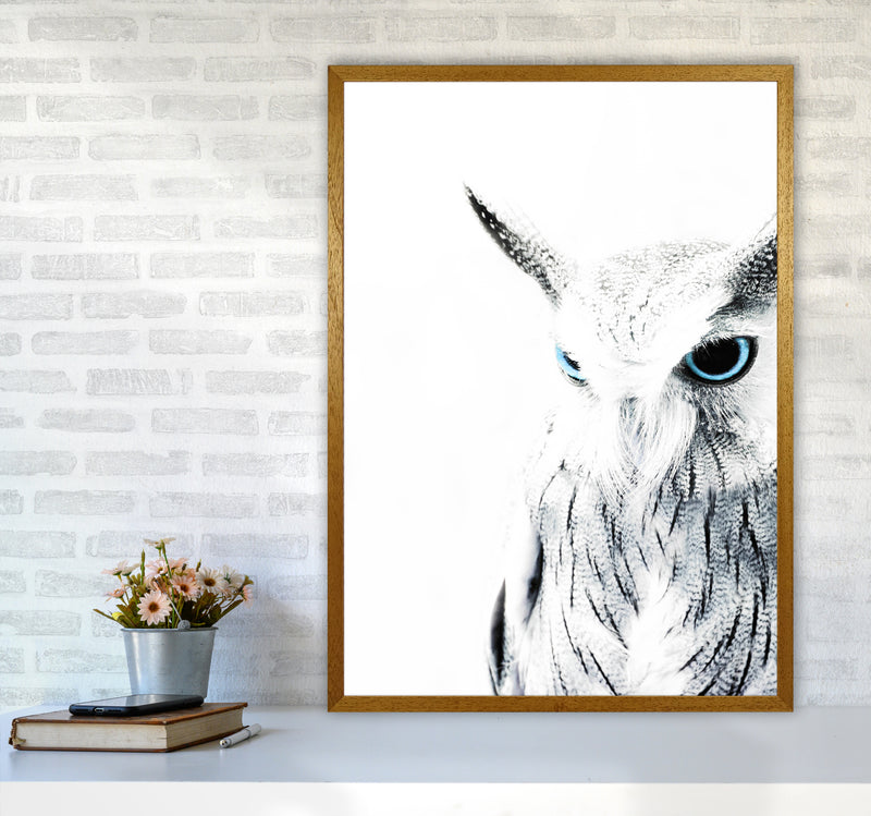 Owl I Photography Print by Victoria Frost A1 Print Only