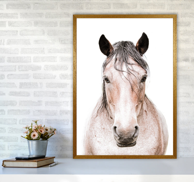 Horse Photography Print by Victoria Frost A1 Print Only