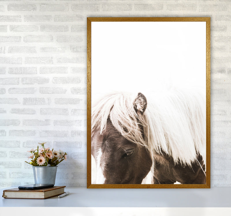 Horse III Photography Print by Victoria Frost A1 Print Only