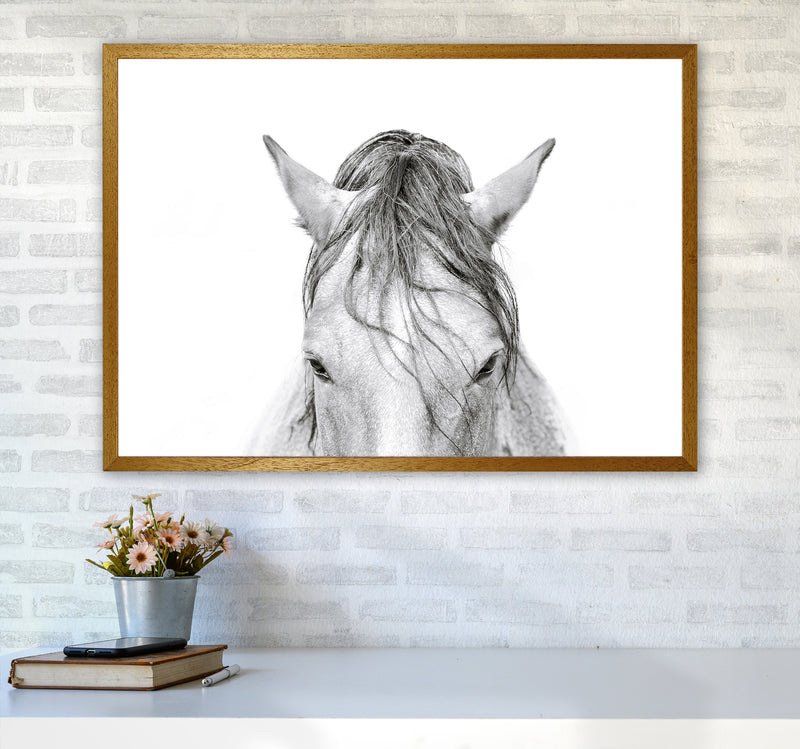 Horse II Photography Print by Victoria Frost A1 Print Only