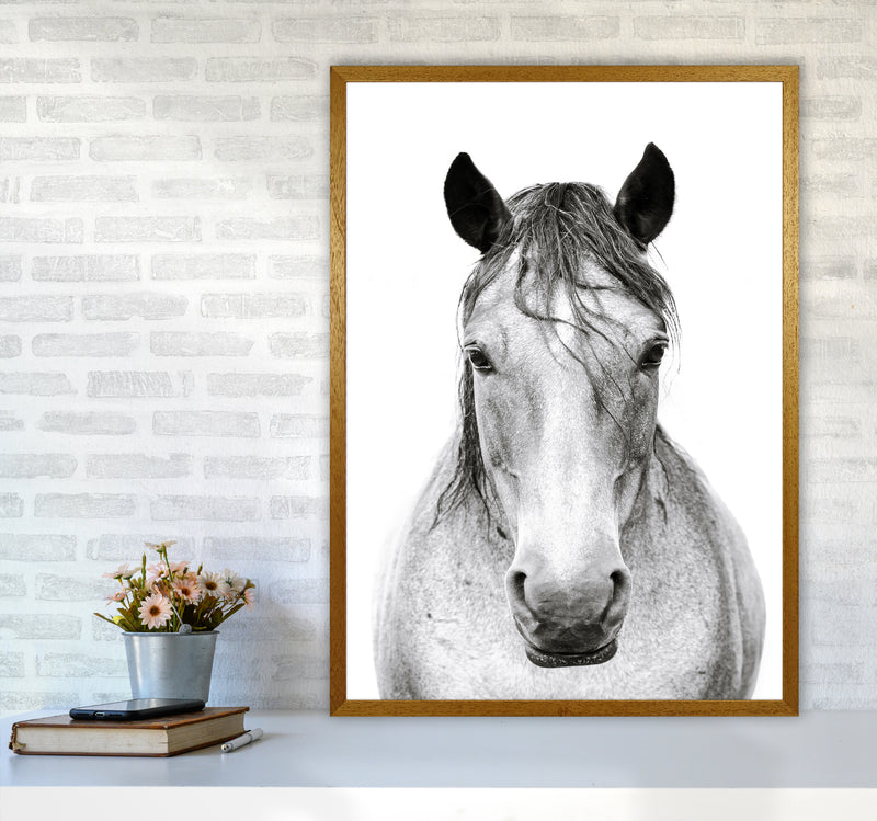 Horse I Photography Print by Victoria Frost A1 Print Only