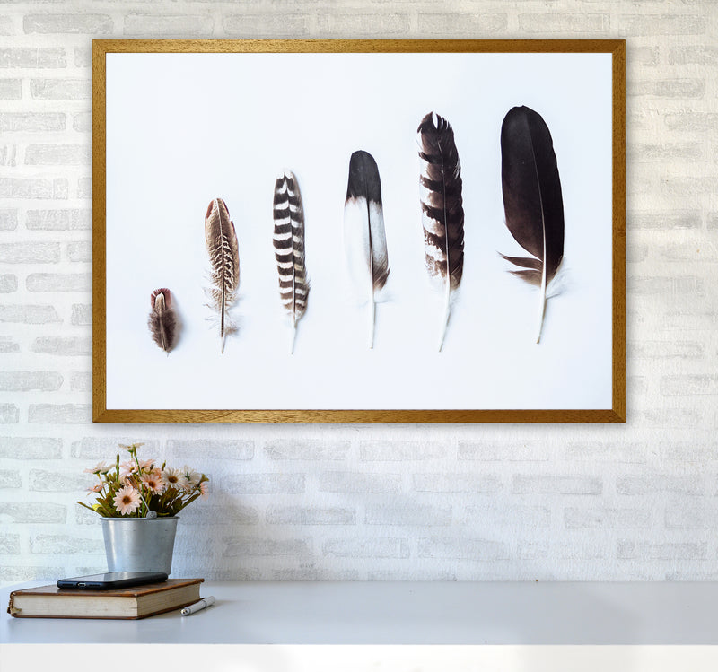 Feathers II Photography Print by Victoria Frost A1 Print Only