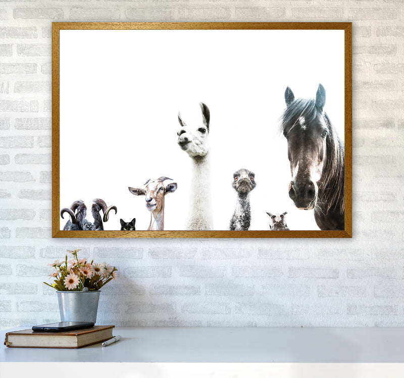 Animal Crew Photography Print by Victoria Frost A1 Print Only