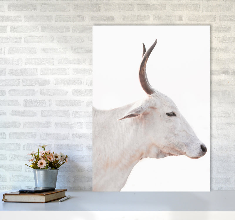 White Cow II Photography Print by Victoria Frost A1 Black Frame