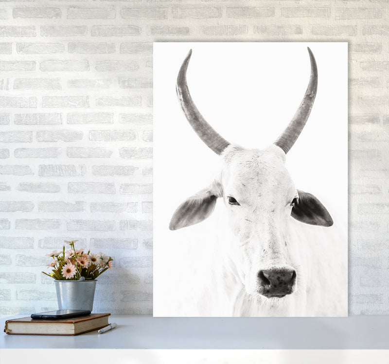 White Cow I Photography Print by Victoria Frost A1 Black Frame