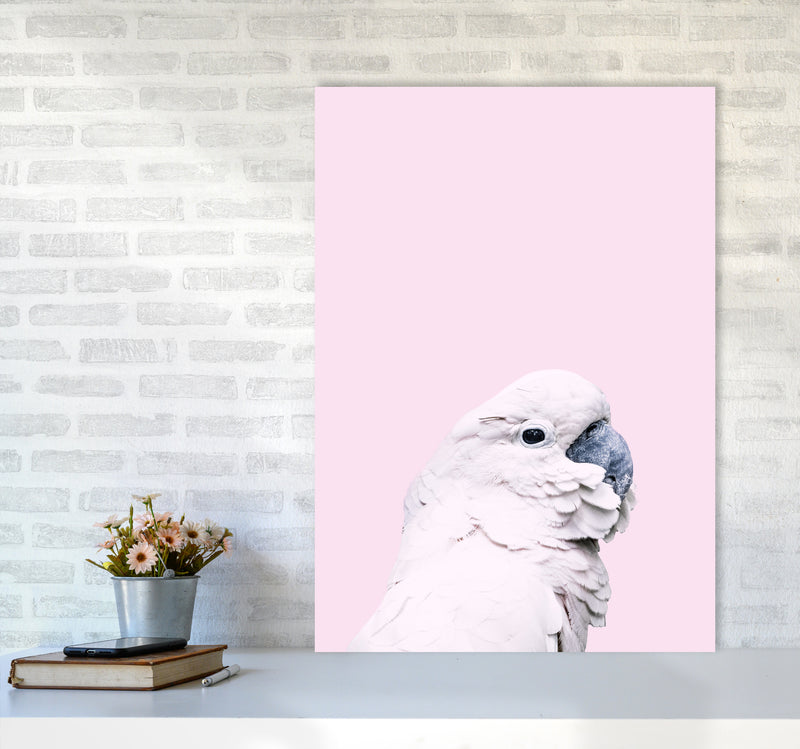Pink Cockatoo Photography Print by Victoria Frost A1 Black Frame