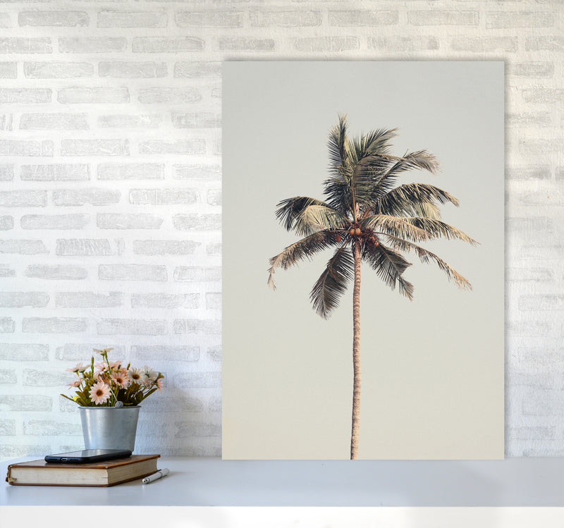Palm tree by the beach Photography Print by Victoria Frost A1 Black Frame