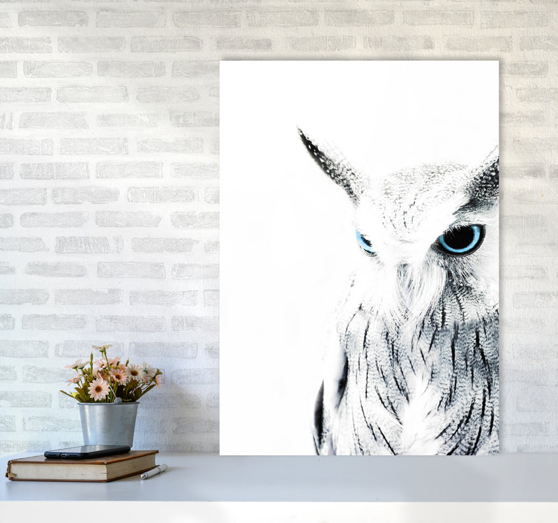 Owl I Photography Print by Victoria Frost A1 Black Frame