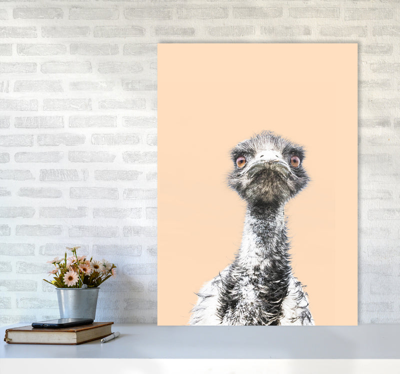 Orange Emu Photography Print by Victoria Frost A1 Black Frame