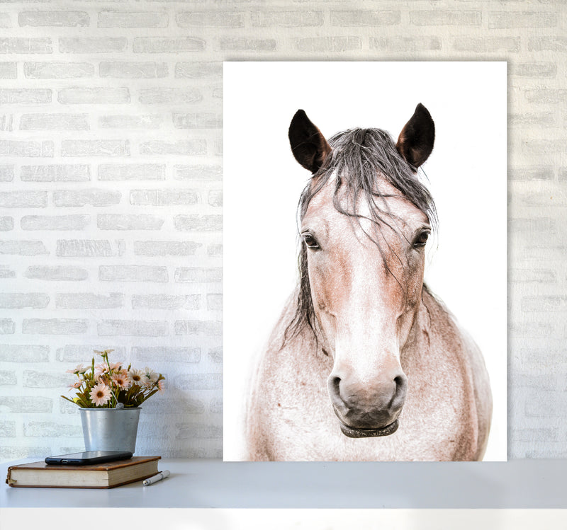 Horse Photography Print by Victoria Frost A1 Black Frame