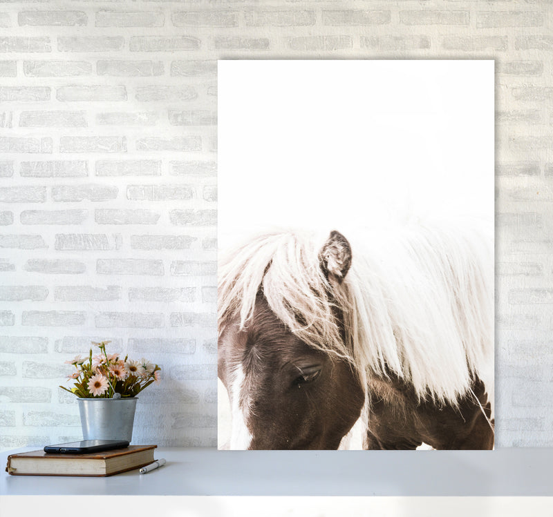 Horse III Photography Print by Victoria Frost A1 Black Frame