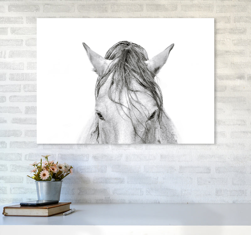 Horse II Photography Print by Victoria Frost A1 Black Frame